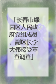 长春市绿园区人民政府党组成员、副区长李大伟接受审查调查