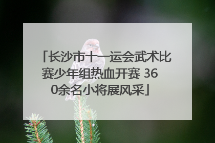 长沙市十一运会武术比赛少年组热血开赛 360余名小将展风采