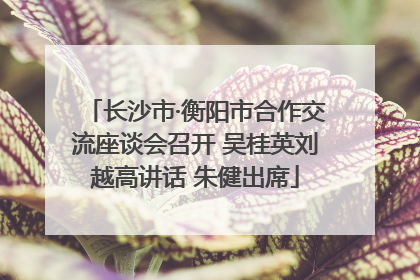 长沙市·衡阳市合作交流座谈会召开 吴桂英刘越高讲话 朱健出席