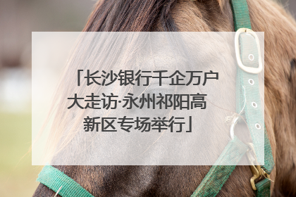 长沙银行千企万户大走访·永州祁阳高新区专场举行