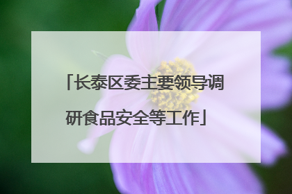 长泰区委主要领导调研食品安全等工作