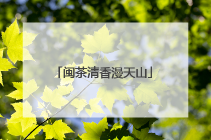 闽茶清香漫天山