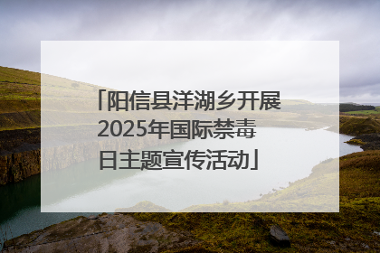 阳信县洋湖乡开展2025年国际禁毒日主题宣传活动
