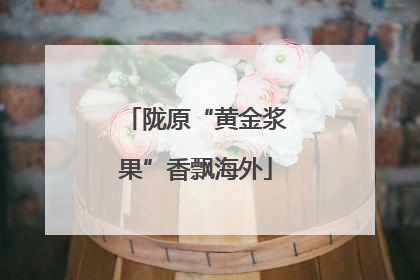 陇原“黄金浆果”香飘海外