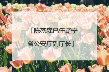 陈密森已任辽宁省公安厅副厅长