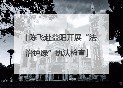 陈飞赴益阳开展“法治护绿”执法检查