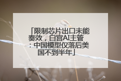 限制芯片出口未能奏效，白宫AI主管：中国模型仅落后美国不到半年