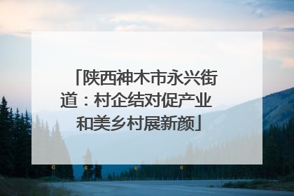 陕西神木市永兴街道：村企结对促产业 和美乡村展新颜