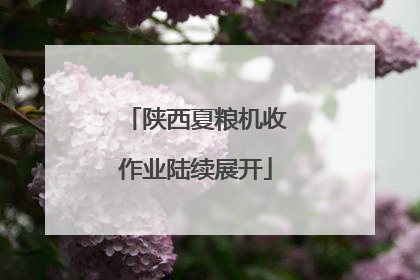 陕西夏粮机收作业陆续展开