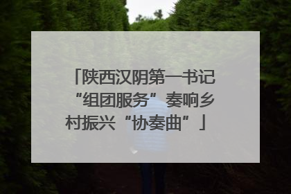 陕西汉阴第一书记“组团服务”奏响乡村振兴“协奏曲”