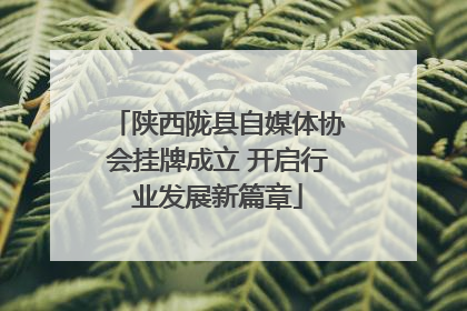 陕西陇县自媒体协会挂牌成立 开启行业发展新篇章