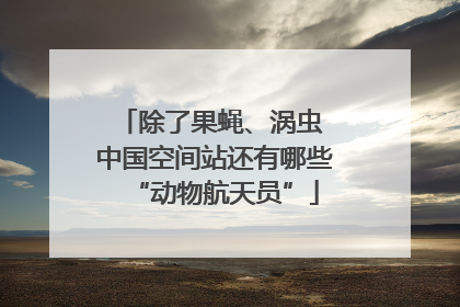 除了果蝇、涡虫 中国空间站还有哪些“动物航天员”