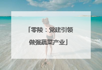 零陵：党建引领 做强蔬菜产业