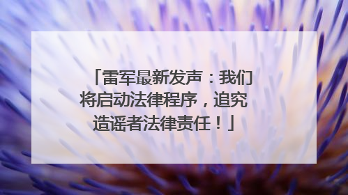 雷军最新发声：我们将启动法律程序，追究造谣者法律责任！