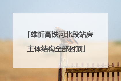 雄忻高铁河北段站房主体结构全部封顶