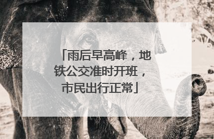 雨后早高峰，地铁公交准时开班，市民出行正常
