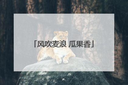 风吹麦浪 瓜果香