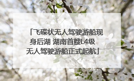 飞碟状无人驾驶游船现身后湖 湖南首艘L4级无人驾驶游船正式起航