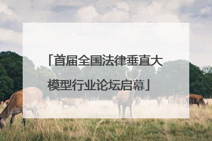 首届全国法律垂直大模型行业论坛启幕
