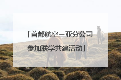 首都航空三亚分公司参加联学共建活动