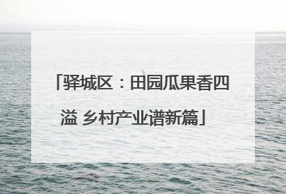 驿城区：田园瓜果香四溢 乡村产业谱新篇