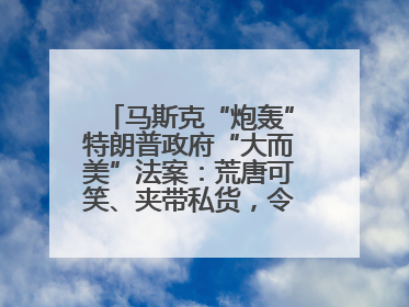 马斯克“炮轰”特朗普政府“大而美”法案：荒唐可笑、夹带私货，令人作呕