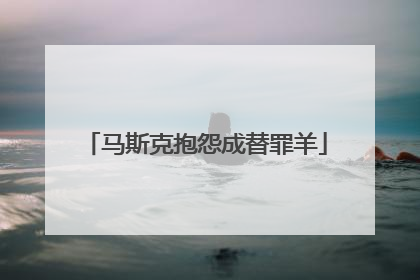 马斯克抱怨成替罪羊