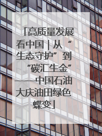 高质量发展看中国｜从“生态守护”到“碳汇生金”——中国石油大庆油田绿色蝶变