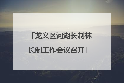 龙文区河湖长制林长制工作会议召开