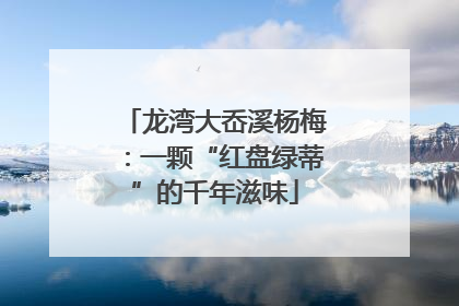 龙湾大岙溪杨梅：一颗“红盘绿蒂”的千年滋味