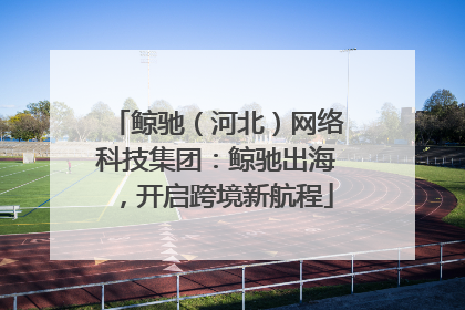 鲸驰（河北）网络科技集团：鲸驰出海，开启跨境新航程