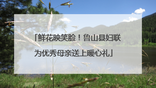 鲜花映笑脸！鲁山县妇联为优秀母亲送上暖心礼