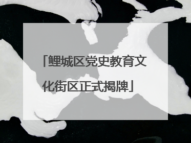 鲤城区党史教育文化街区正式揭牌