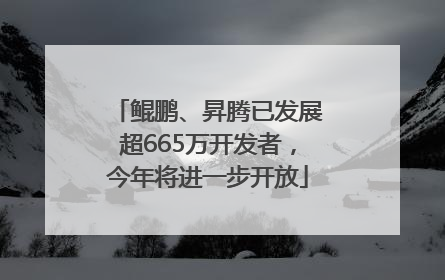 鲲鹏、昇腾已发展超665万开发者，今年将进一步开放