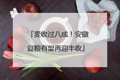 麦收过八成！安徽夏粮有望再迎丰收