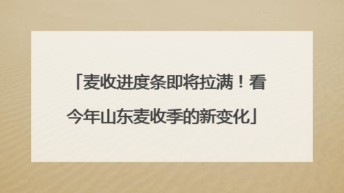 麦收进度条即将拉满！看今年山东麦收季的新变化
