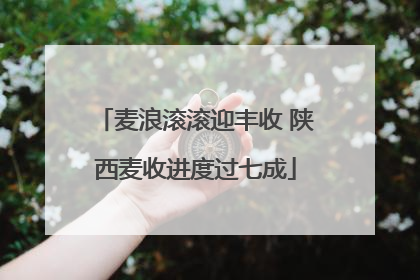 麦浪滚滚迎丰收 陕西麦收进度过七成