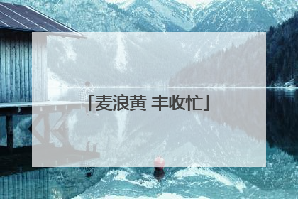 麦浪黄 丰收忙