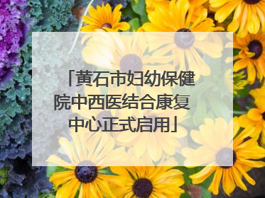 黄石市妇幼保健院中西医结合康复中心正式启用