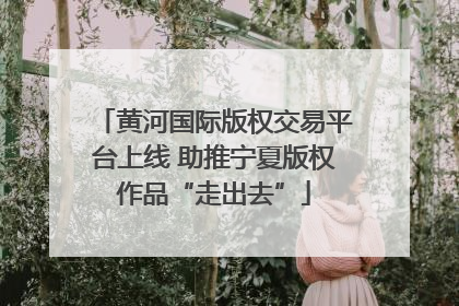 黄河国际版权交易平台上线 助推宁夏版权作品“走出去”