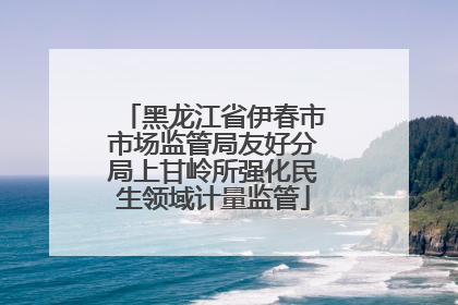 黑龙江省伊春市市场监管局友好分局上甘岭所强化民生领域计量监管