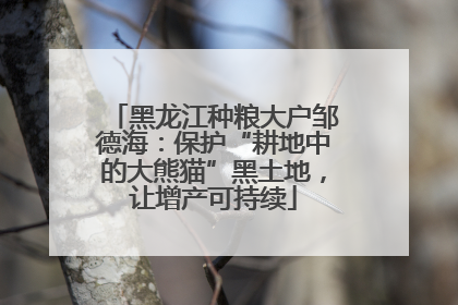 黑龙江种粮大户邹德海：保护“耕地中的大熊猫”黑土地，让增产可持续