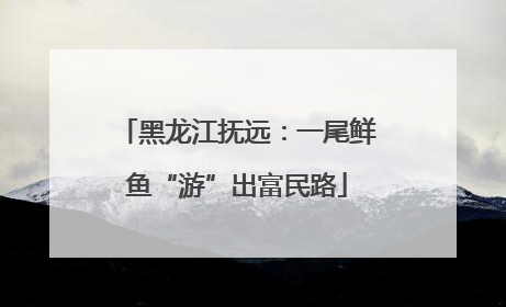 黑龙江抚远：一尾鲜鱼“游”出富民路
