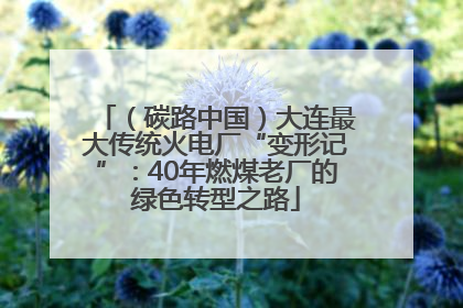 （碳路中国）大连最大传统火电厂“变形记”：40年燃煤老厂的绿色转型之路
