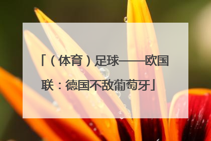 （体育）足球——欧国联：德国不敌葡萄牙