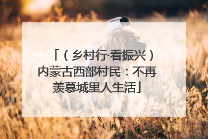 （乡村行·看振兴）内蒙古西部村民：不再羡慕城里人生活