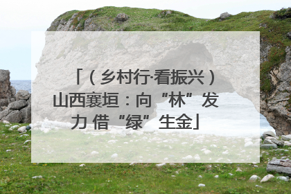 （乡村行·看振兴）山西襄垣：向“林”发力 借“绿”生金