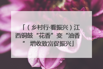 （乡村行·看振兴）江西铜鼓“花香”变“油香” 增收致富促振兴