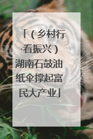 （乡村行·看振兴）湖南石鼓油纸伞撑起富民大产业