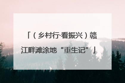 （乡村行·看振兴）赣江畔滩涂地“重生记”